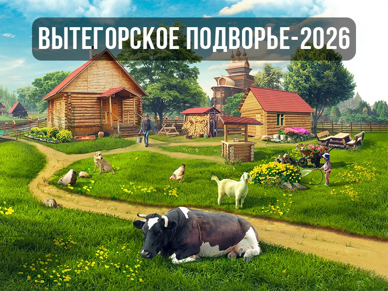 Итоги конкурса  «Вытегорское подворье-2026».