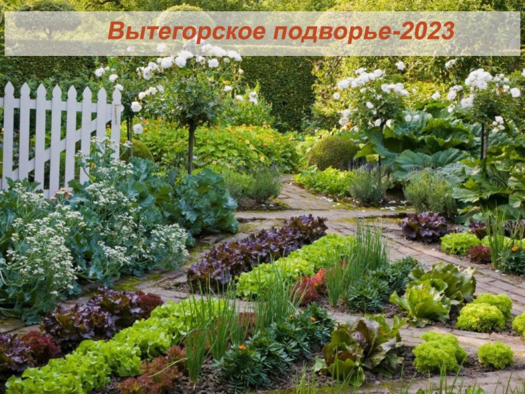 Конкурс  «Вытегорское подворье-2023».